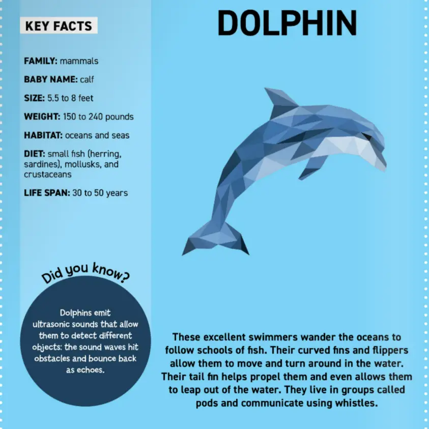 Ocean Animals Sticker by number book